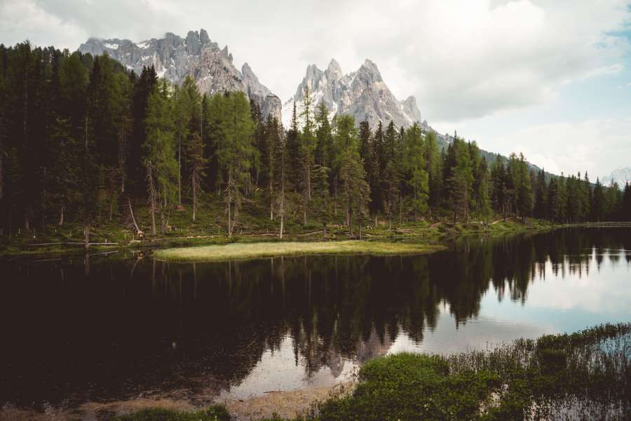 forest, nature, landscape, river, tree, mountain, pine, green, sky, travel, water, scenery, view, environment, beautiful, summer, tourism, blue, outdoor, rock, lake, scenic, park, background, valley, grass, stone, scene, tranquil, wood, beauty, cloud, natural, peak, wild, hill, ecology, reflection, spring, day, panorama, hiking, vector, mountains, season, meadow, illustration, clouds, adventure, vacation