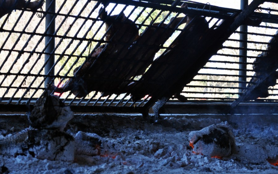 Roasted, Rotisserie, Grill, Typical Food, Tradition, Countryside, Meat, Ribs, Ribs, Embers, Cooked, Hot, Fat, Argentinian, Argentine, Beef
