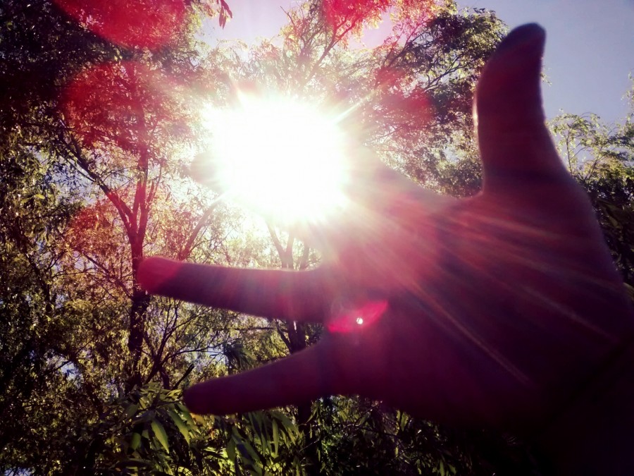 hand, concept, light, sunset, sun, nature, one person, day, joy,