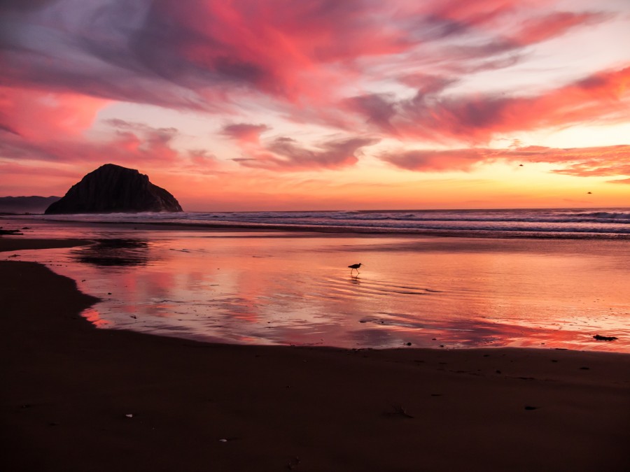 ocean, nose, red, uterus, reflection, sunset, sunset, sunset, landscape, united states, usa,