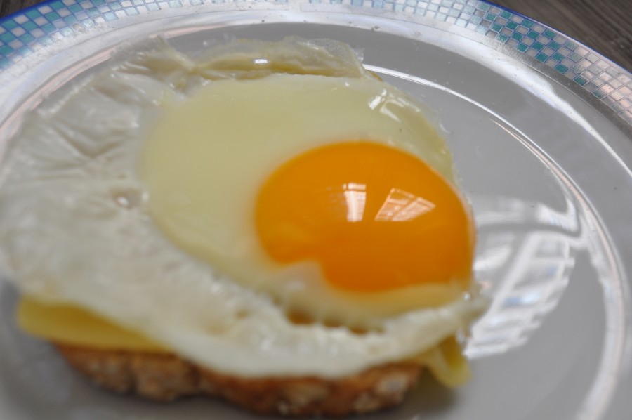 food, egg, toast, breakfast, nobody, dish,