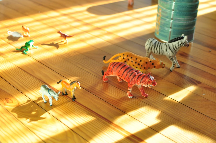toy, toys, play, children, playing, floor, wood, interior, home, nobody, gambling, animal, animals,