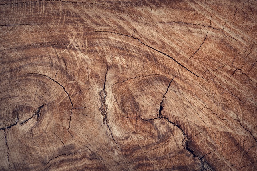 Brown, closeup, wallpaper, hd, surface, texture, wood, close-up, natural, nature, trunk, tree, free wallpapers Hd
