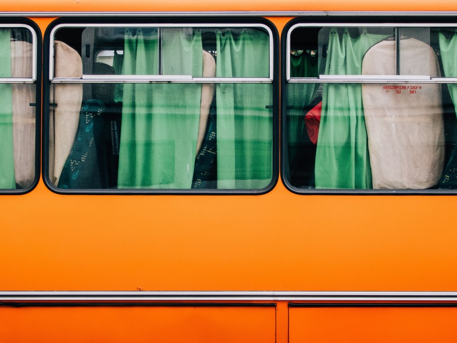 bus, bus, yellow, window, vehicle, transportation, front view, window,