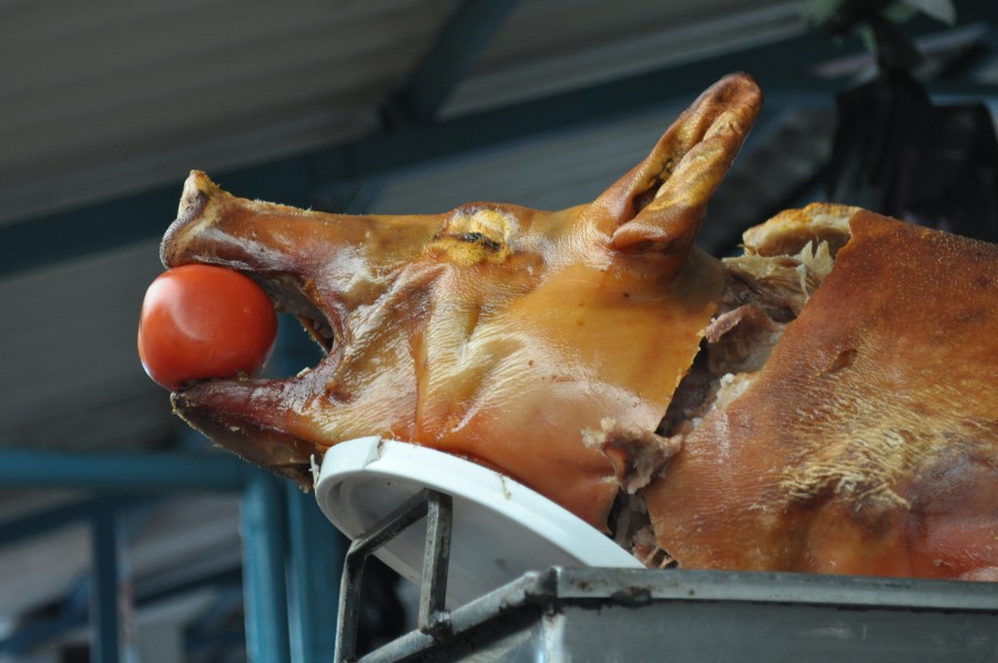 food, pig, pork, apple, cooking, meat dish, typical, Ecuador, hornado, america, latin, latina, interior, market, nobody,
