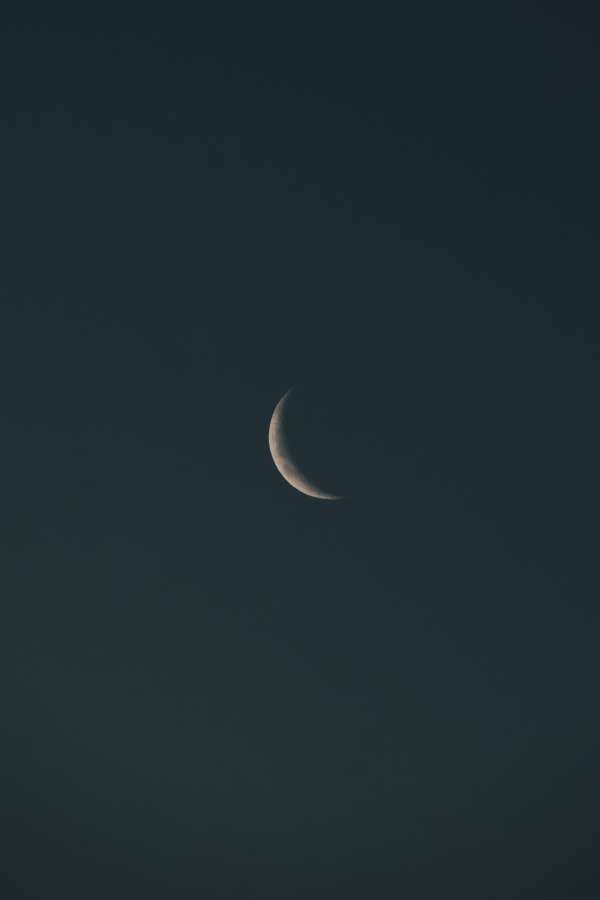 sky, moon, nature, space, night, crescent, lunar, astronomy, waning, universe, science, black, satellite, astrology, moonlight, full, waxing, dark, half, cosmos, background, gibbous, quarter, phases, calendar, planet, cycle, light, phase, white, orbit, eclipse, new, month, sphere, luna, surface, illustration, shadow, blue, tree, cosmic, bright, solar, vector, round, star, silhouette, landscape, first