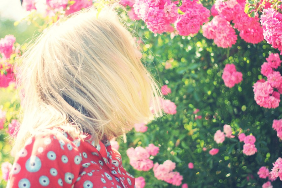 one person, people, woman, blond, blond, sunset, young, teen, landscape, sunset, sunset, gold, beauty, nature, relaxation, serenity, hair, tranquility, travel, travel, vacation, flowers, pink, flowery spring