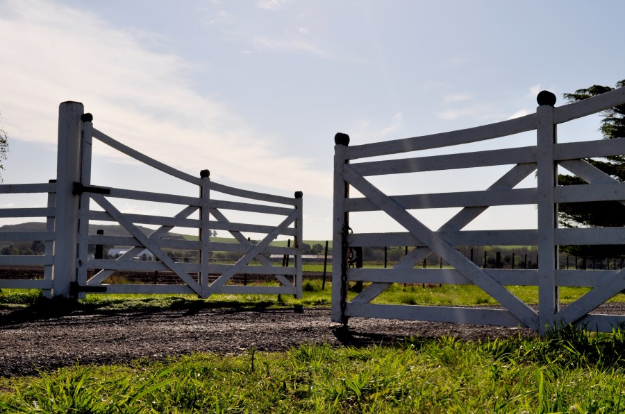 farm gate, Gate Farm, Field, Wood, sunset, day, scene, Rural, Landscape, Open,