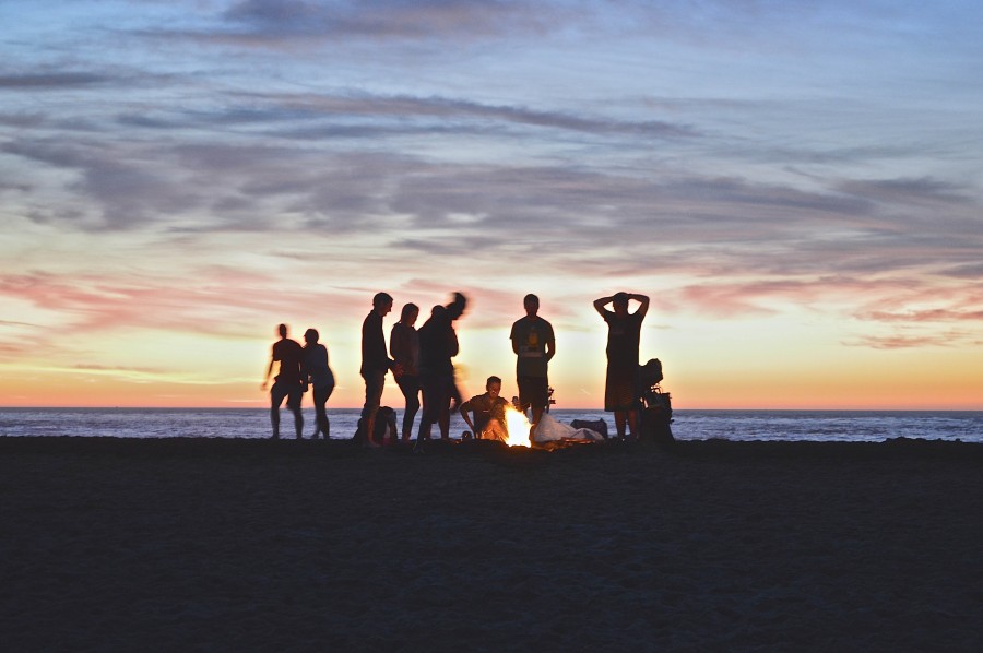 forest, beach, sunset, night, campfire, people, group, friends, friendship, celebration, celebration, coast, sea, summer, young,