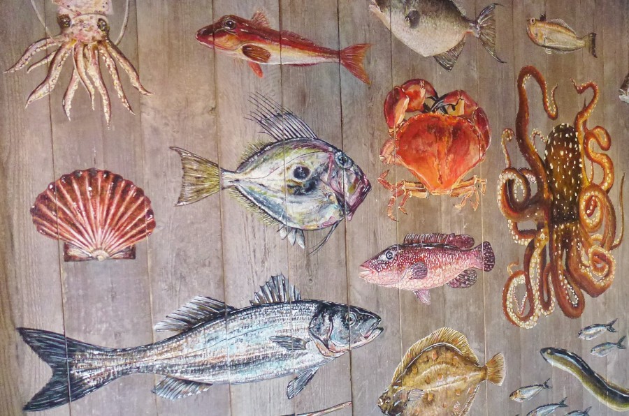 marine, painting, fish, fish, mural, wall art, paint