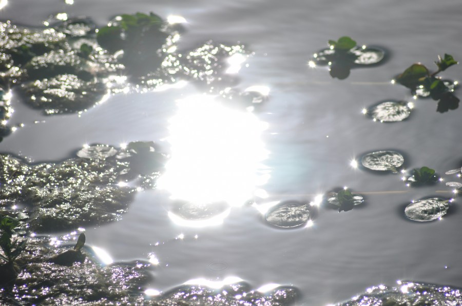 Texture, Textures, Water Reflection Lake 