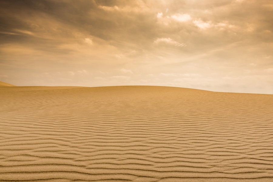 landscape, desert, desertic, nobody, medano, arid, orange, 