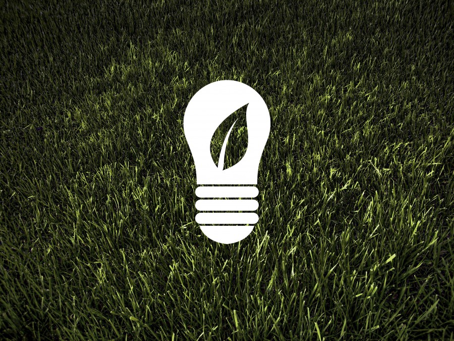 ecology , environment , recycling, sustainability , waste,
light bulb, symbol
