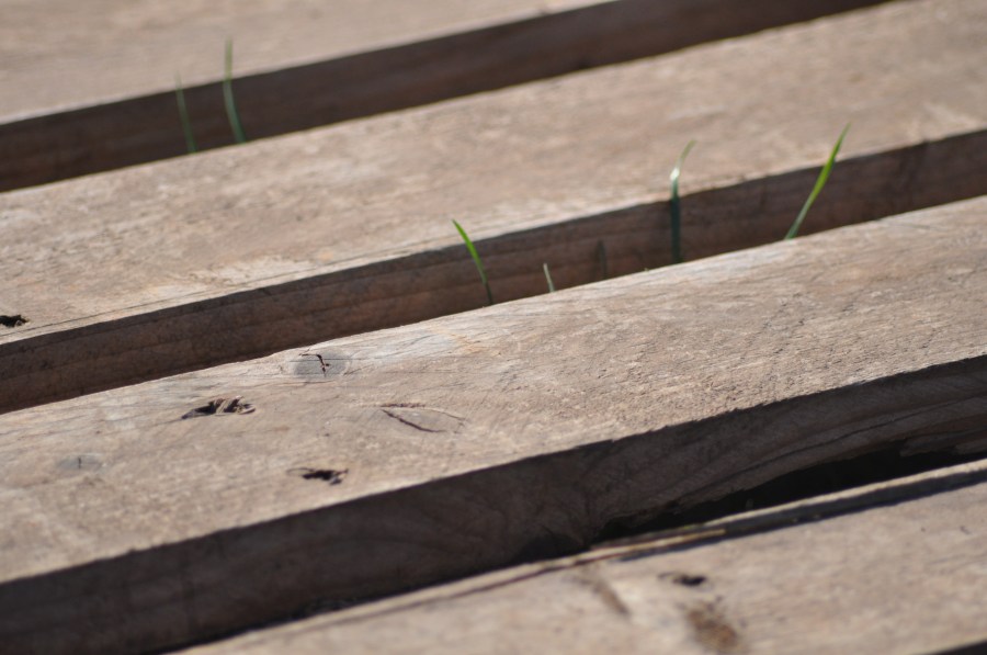Texture, Textures, FondosTexturas Photo images (stock), Slats, Wood 