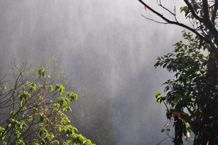 Argentina, Misiones, Iguazu National Park, Iguazu Falls, Brazil, Water, Forest, Tourist Place, Tourism, Humidity, Green, Nature, rain, Wet, Hot, Vegetation