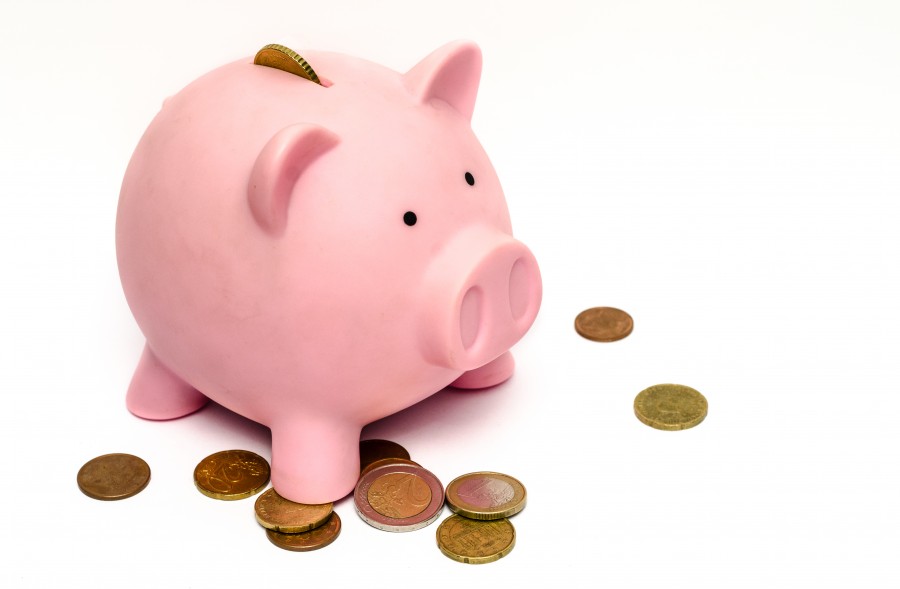 piggy, pig, pig, currency, savings, money, white, nobody, finance, concept,