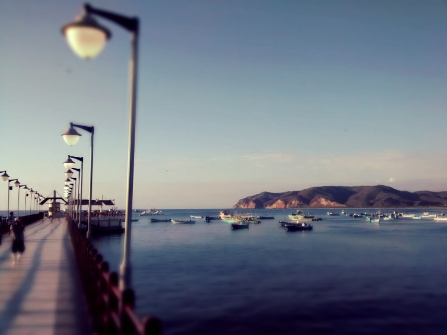 Puerto Lopez, Ecuador, landscape, bird, dock, coast, pacific, latin america, latin,