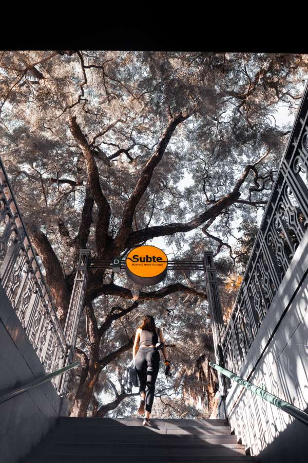 woman, young, subway sign, subway station, buenos aires argentina, urban style, subway train, urban street, person, city, argentina, modern, public, walking, movement, travel, metro, underground, passenger, urban, subway, transportation, station, transport, motion, business, buenos aires, train, people, stairs