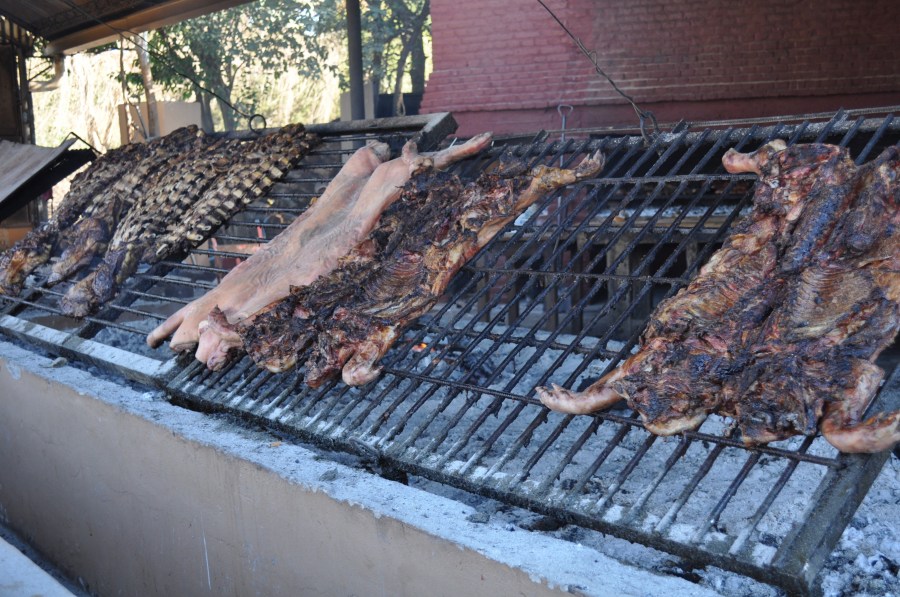 Roasted, Rotisserie, Grill, Typical Food, Tradition, Countryside, Meat, Ribs, Ribs, Embers, Cooked, Hot, Fat, Argentinian, Argentine, Beef
