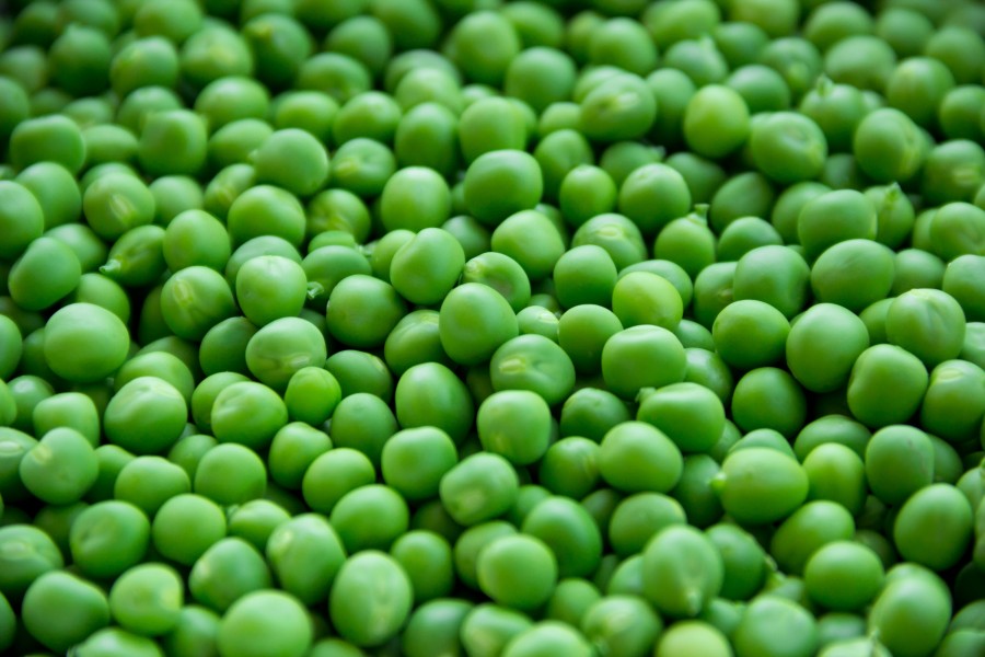 pea, bean, green, fresh, background, background, foreground,