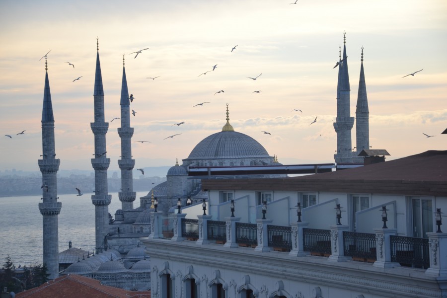 istanbul, turkey, district, famous, sultanahmet, tower, travel, view, turkish, topkapi, night, skyline, ship, yeni, sun, minaret, traditional, fisher, asia, ottoman, tourist, horn, bosporus, reflection, architecture, panorama, sunset, tourism, golden, sea, cityscape, hagia, coast, mosque, urban, landmark, evening, building, bosphorus, suleymaniye, galata, center, city, blue, sophia, boat, water, bridge, europe, landscape