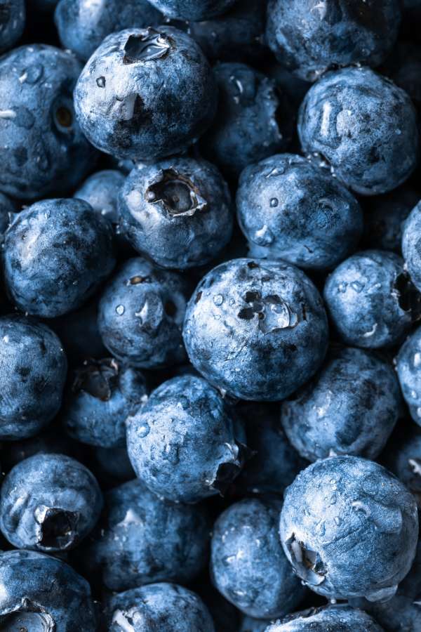 berry, fresh, background, blueberry, blue, fruit, food, sweet, healthy, ripe, organic, dessert, delicious, juicy, bilberry, raw, diet, group, summer, vegetarian, nutrition, natural, closeup, eating, heap, harvest, freshness, pattern, tasty, many, snack, color, nature, ingredient, blueberries, grocery, cooking, macro, market, nobody, picked, agricultural, agriculture, horticultural, farmer, round, texture