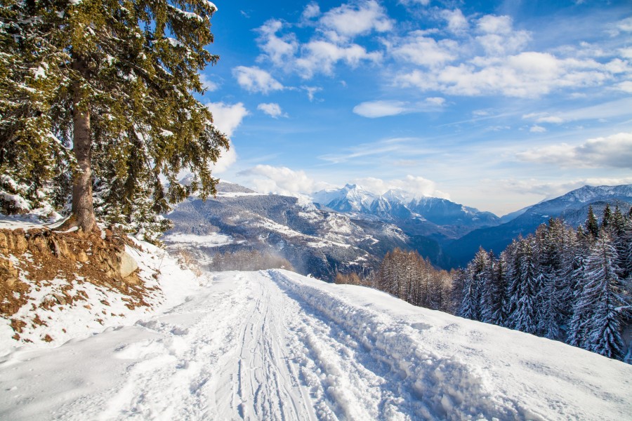 road, route, highway, street, snow, landscape, winter, day, exterior, pine, cold, snowy,