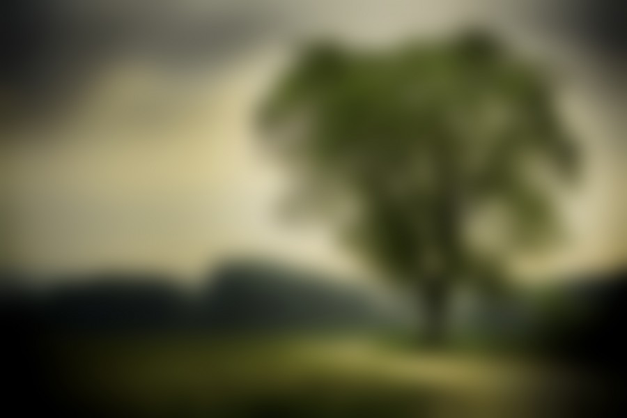 nature, tree, green, background, blur,