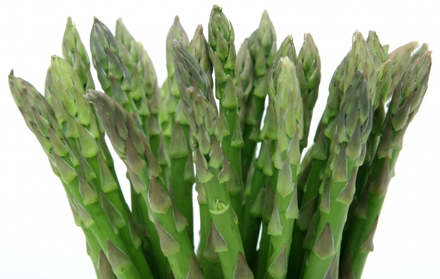 asparagus, white background, vegetables, healthy,