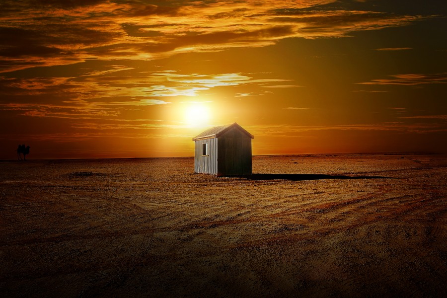 house, country, rural scene, sunset, sunset, sunset, cabin, alone, one, one, alone, field, barn, barn, small,