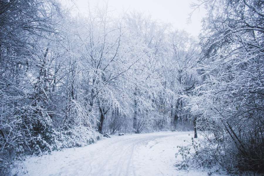 street, light, white, frozen, nature, snow, snowy, vacation, cold, forest, mountain, tree, winter, romantic, speed, transport, transportation, dusk, january, night, people, evening, idyllic, ski, swiss, asphalt, christmas, country, holiday, house, ice, resort, road, sky, switzerland, town, wood, alpine, alps, architecture, background, beautiful, building, city, europe, landscape, outdoor, season, tourism, travel