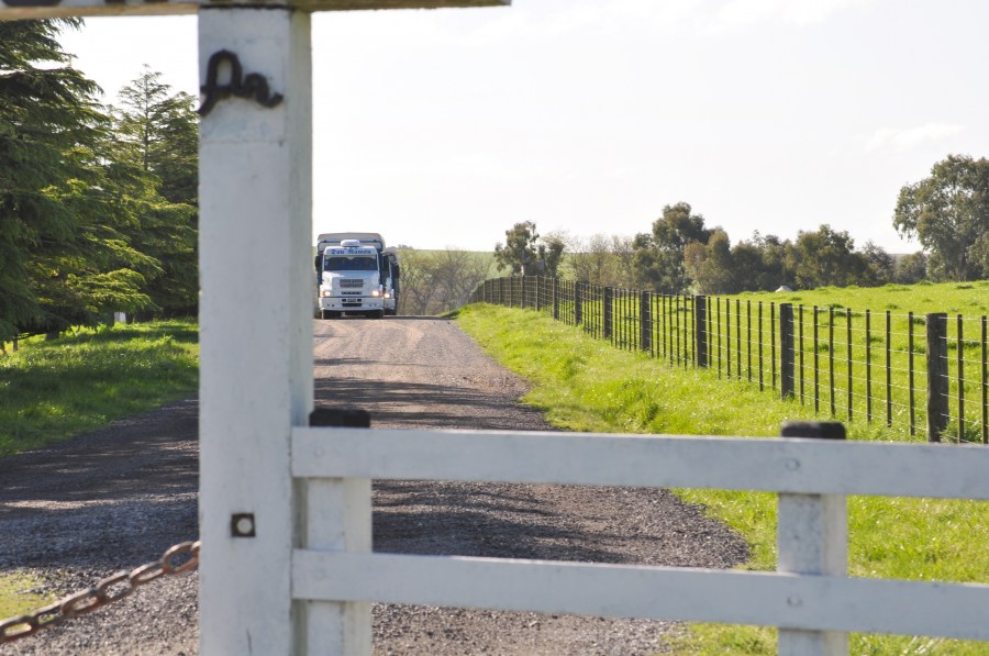 farm gate, Gate Farm, Field, Wood, sunset, day, scene, Rural, Landscape, Open, truck, Transportation,