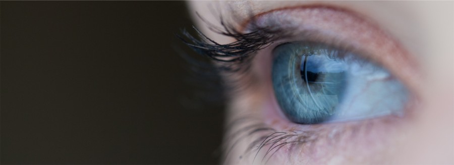 eye, woman, look, gray, eyes, blue, gray, detail, iris, close-up, one person,