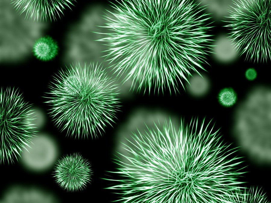 Bacterium, Cell, Micro Organism, Glowing, Anatomy, Bacillus Subtilis, Biology, Biomedical Illustration, Color Image, E. coli, Healthcare And Medicine, Horizontal, Human Cell, Illness, Illustration, Microbiology, No People, Science, Shape, virus, medicine,
