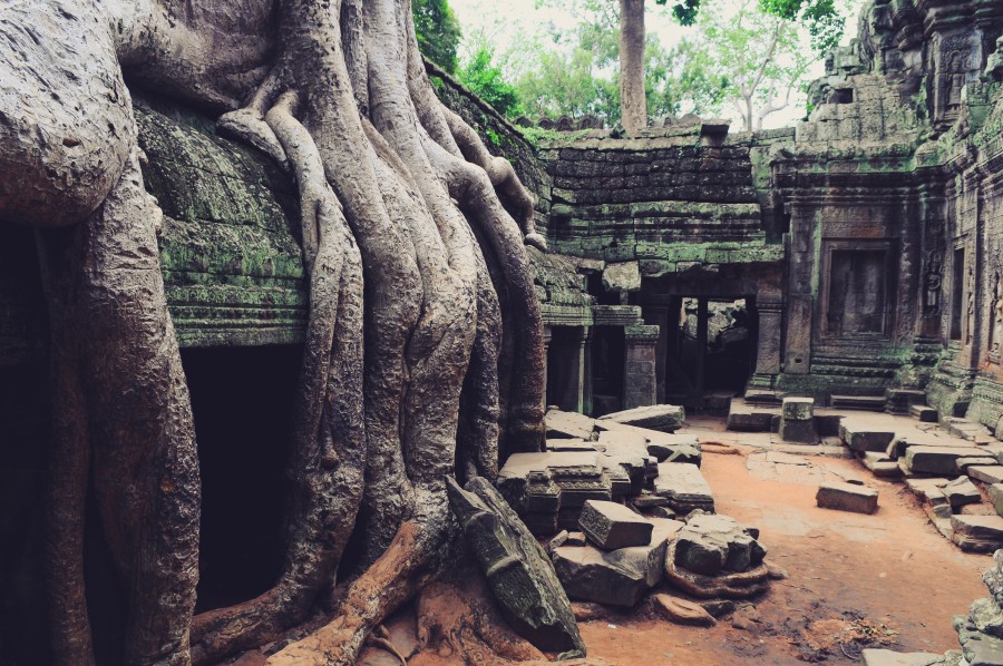 Angkor Wat, Bella, Cambodia, vacations, Temple, Tomb Raider, travel, trees, amazing, asian, carving, Discovery, ruin, ruins, ancient, forest, mystical, temple, green, roots, root, temples, tree, vacation , Asia, big, giant,