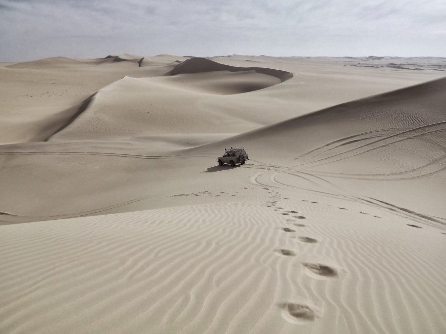 desert, sand, dunes, dune, dunes, truck, 4x4, expedition, explore, tour, tourism, crossing, arid, 