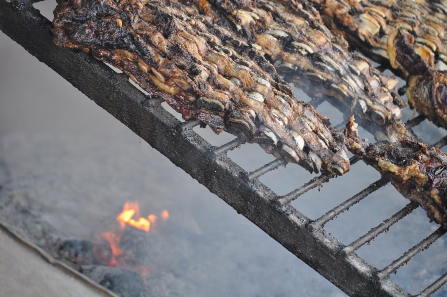 Roasted, Rotisserie, Grill, Typical Food, Tradition, Countryside, Meat, Ribs, Ribs, Embers, Cooked, Hot, Fat, Argentinian, Argentine, Beef
