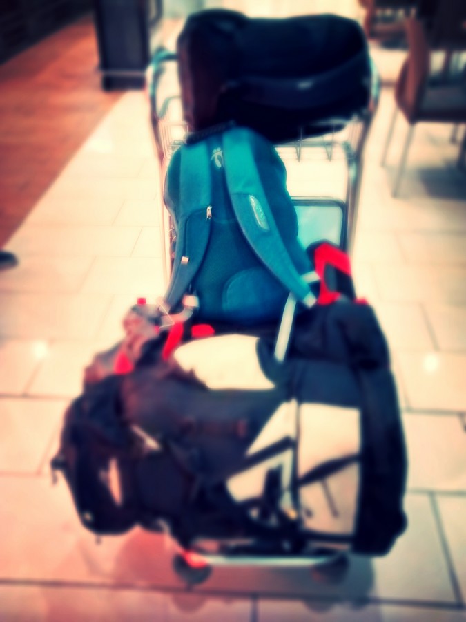 bag, bags backpack, baggage, airport, travel, travel, tourism, car, weight, eating,
