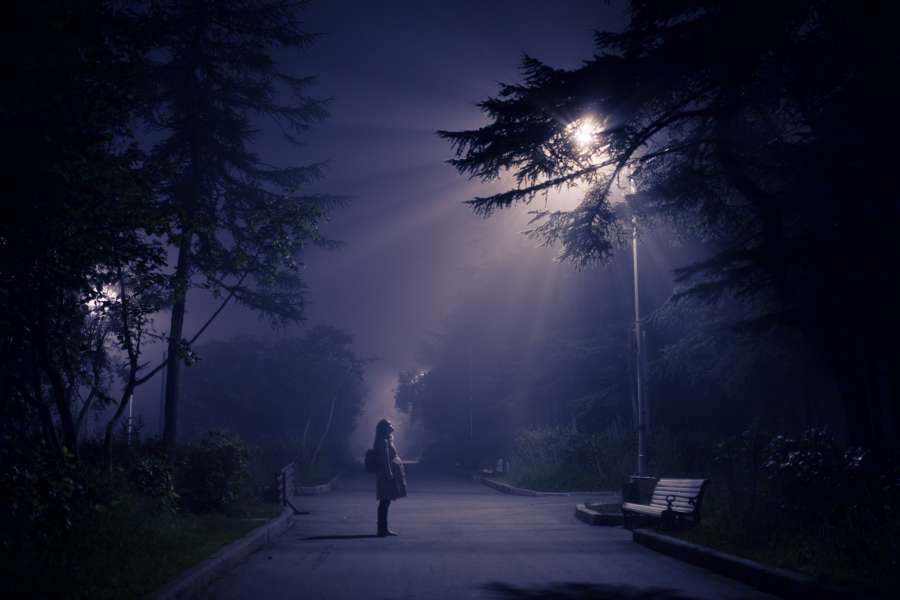 tree, nature, road, season, landscape, forest, light, travel, fog, countryside, sun, weather, summer, mist, outdoor


