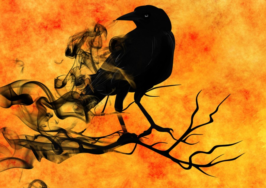 crow, illustration, halloween, terror, fear,