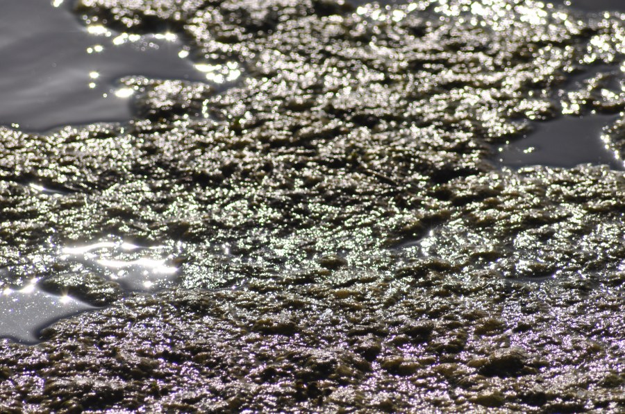 Texture, Textures, Water Reflection Lake 