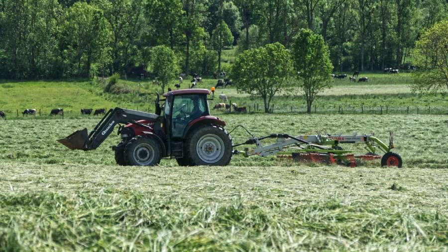 field, tractor, harvest, combine, agriculture, machine, machinery, crop, farming, work, farm, grain, industry, wheat, rural, equipment, harvester, harvesting, agricultural, summer, landscape, countryside, land, country, autumn, cereal, food, farmland, cut, straw, seed, farmer, nature, rye, produce, ripe, gold, industrial, background, vehicle, heavy, technology, growth, bread, sky, meadow, transportation