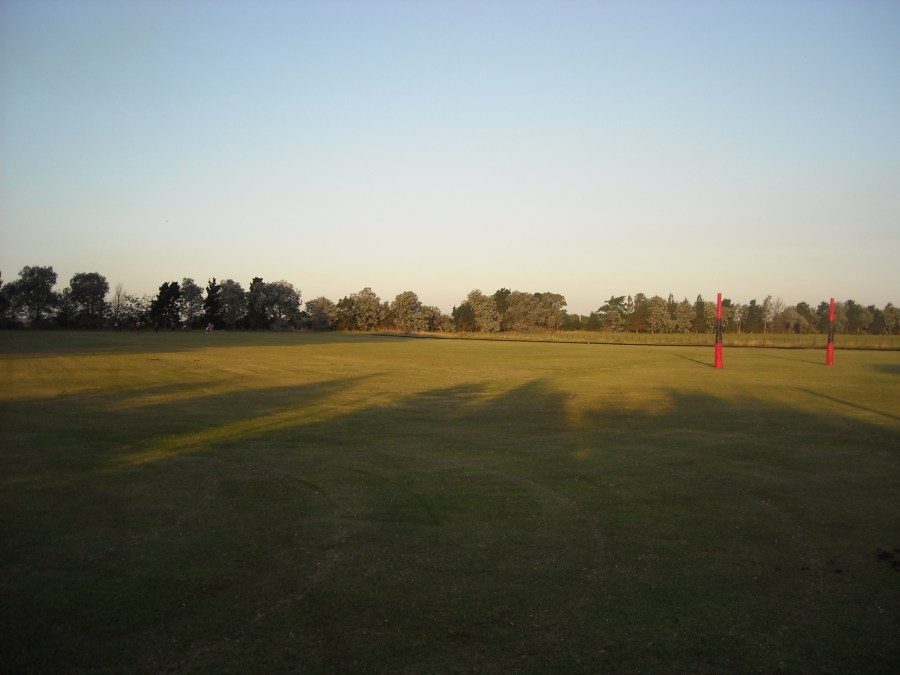 Sport, Polo