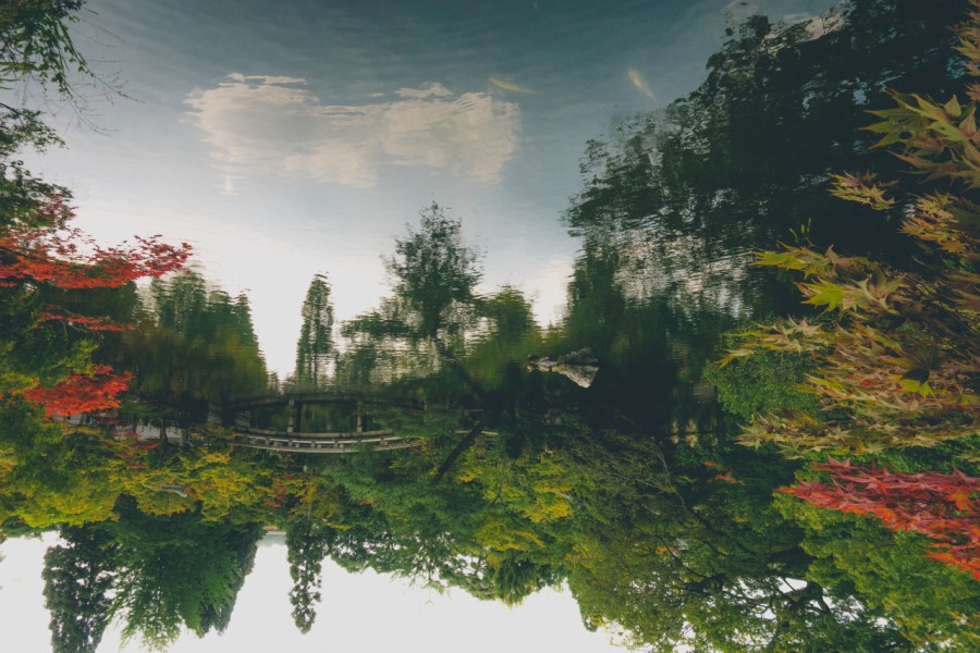 landscape, river, japan, asia, inverted, reflection, nature,