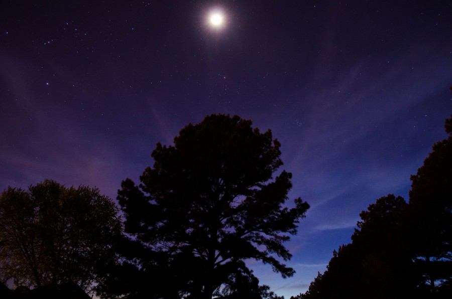 sky, night, stars star, starry, landscape, tree, night, forest,