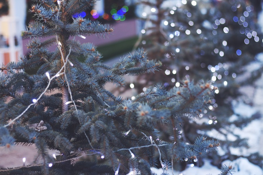 christmas, detail, ornament, decoration, celebration, 2015, celebration, christmas tree, tree,