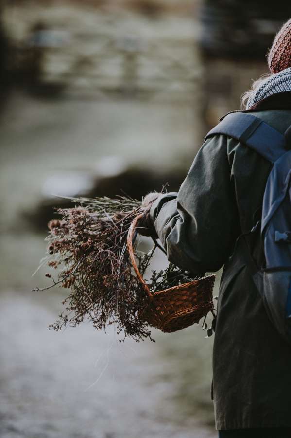 cultivation, harvest, exterior, one person, winter, flower, flowers, wild, day, extract, basket, carry,
