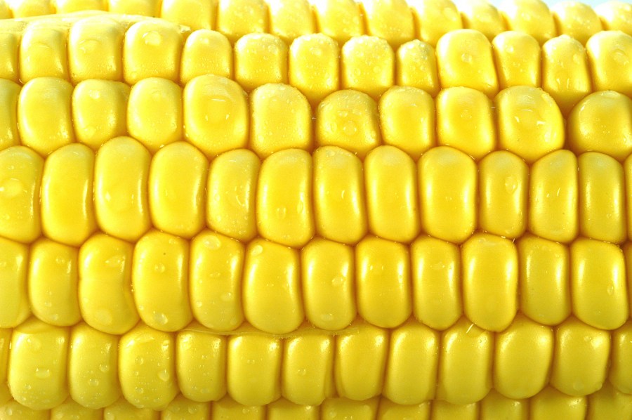 Corn, Corn, Grain, Healthy Eating, Vegetable, Vegetarian Food, Yellow, Part Of, Nobody,