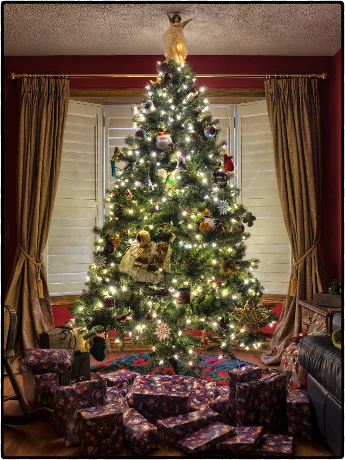 Christmas tree, Christmas, interior, lit, tree, Christmas lights,