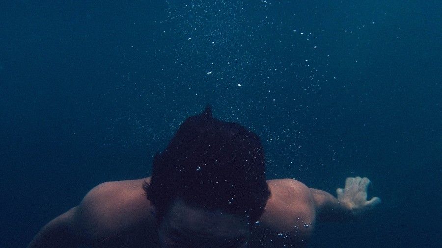one person, people, man, young, water, pool, swimming, swimming, swimming, underwater, activity, sport, diving,